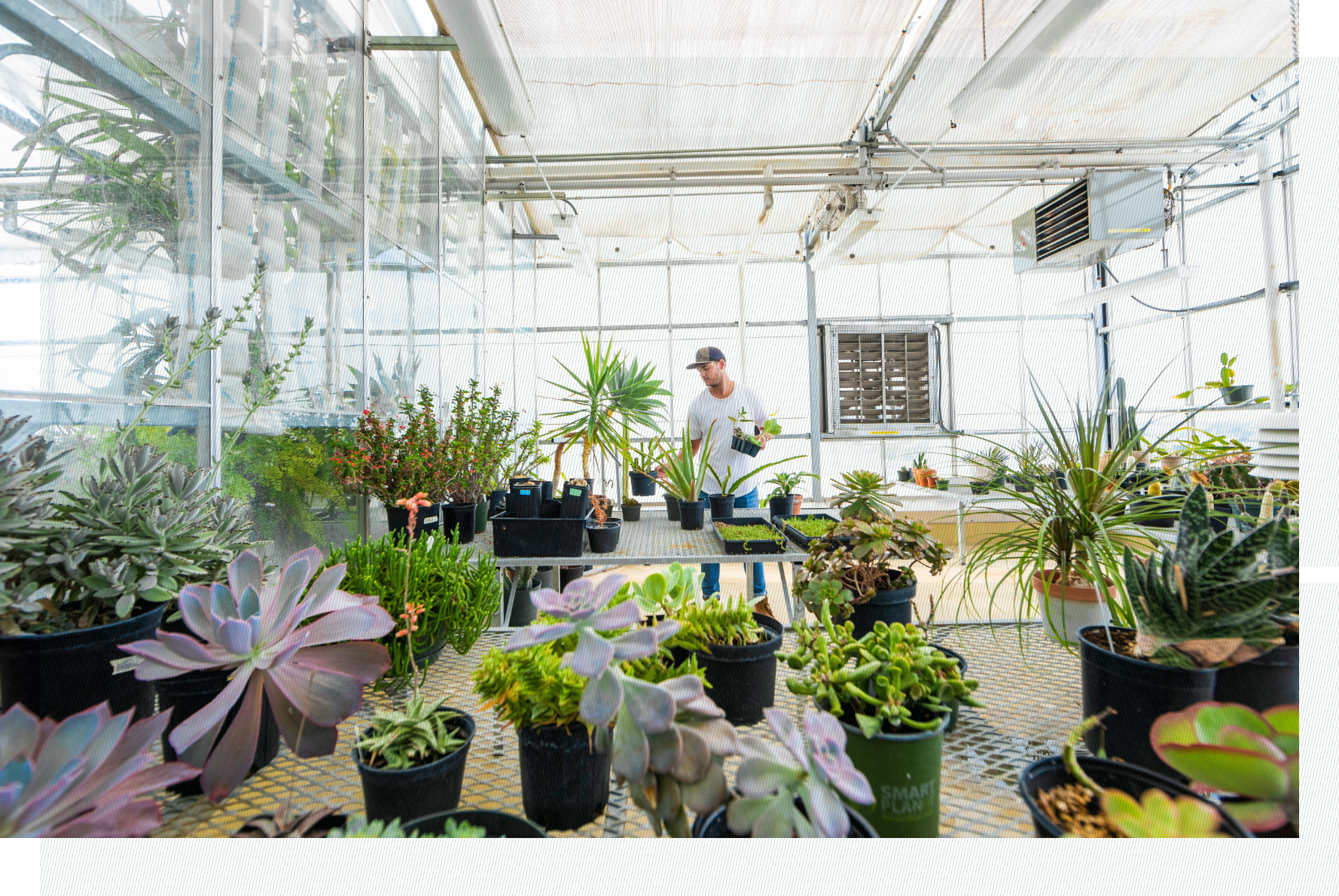 sustainability green house image